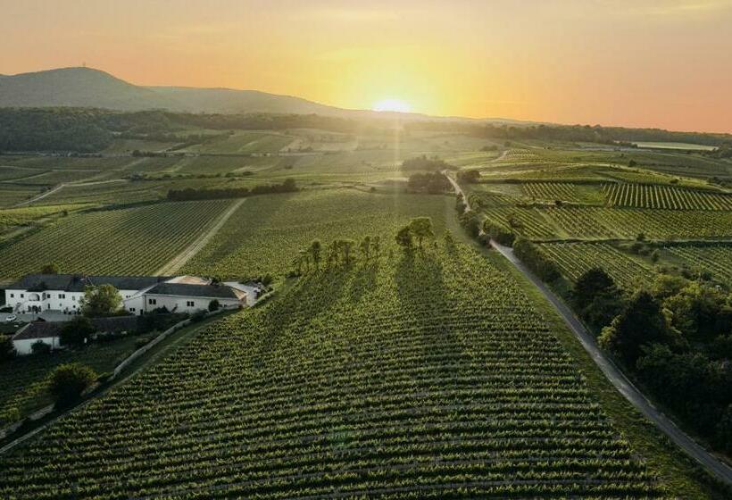 Номер Стандарт, Freigut Thallern