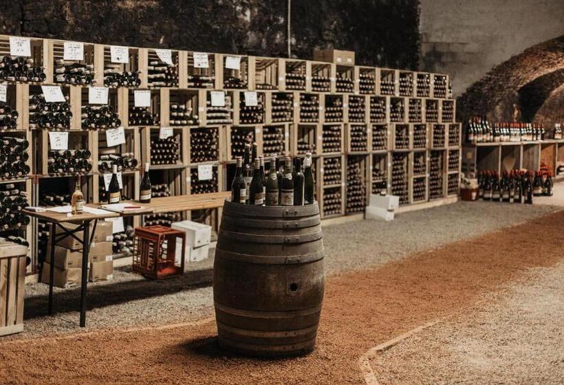 Номер Deluxe, Freigut Thallern