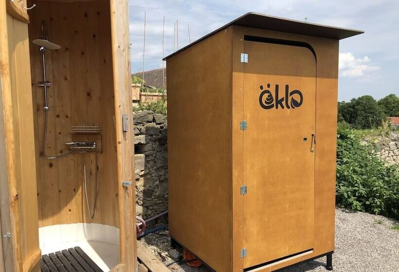 Номер Стандарт, Freigut Thallern