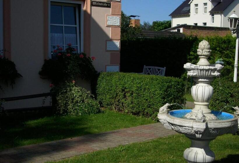 Апартаменты 1 Спальня Нижний Этаж, Pension Villa Erika