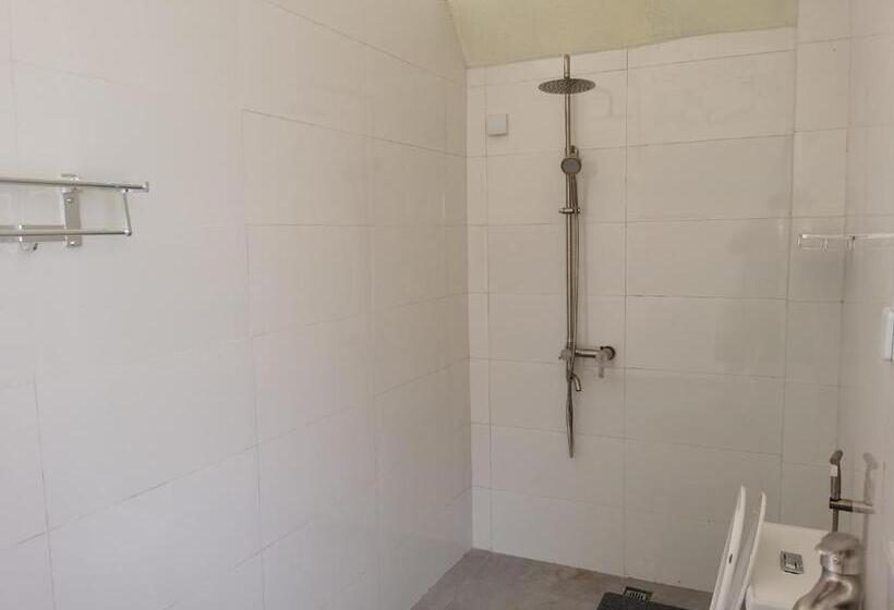 オーシャンビュースタンダードルーム, Dreamer Of The Sea