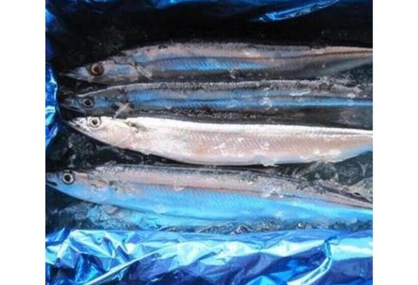 إستوديو قياسى, Kesennuma Plaza Hotel   Vacation Stay 15381v