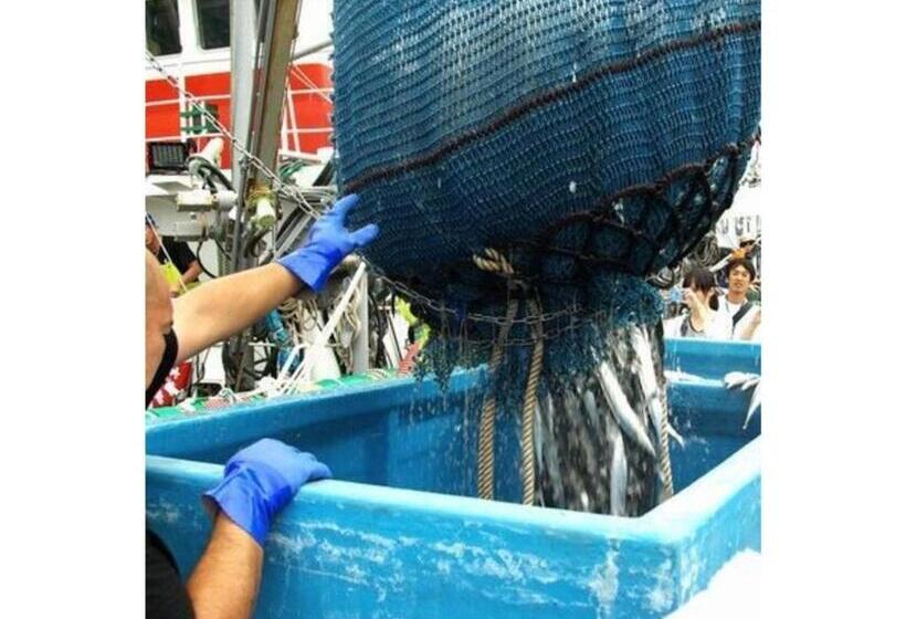 إستوديو قياسى, Kesennuma Plaza Hotel   Vacation Stay 15381v