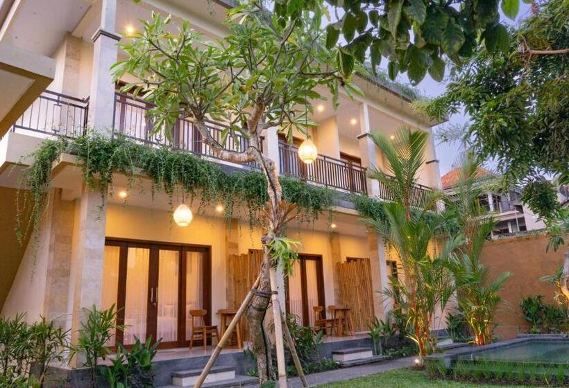 חדר דלוקס, Tiny S House