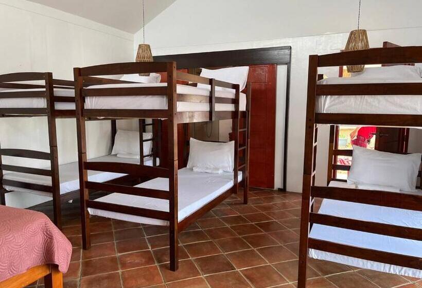 4인용 스탠다드 룸, Solimar Seaside Cabanas