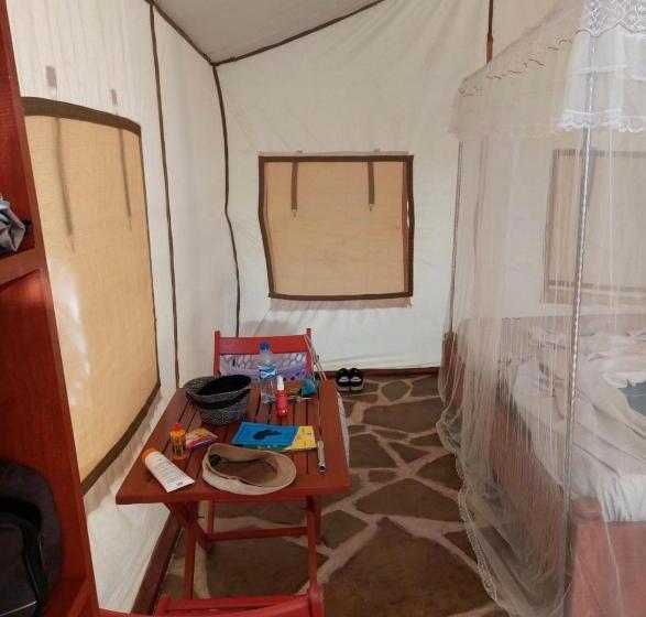 اتاق استاندارد, Judy’s Campsite