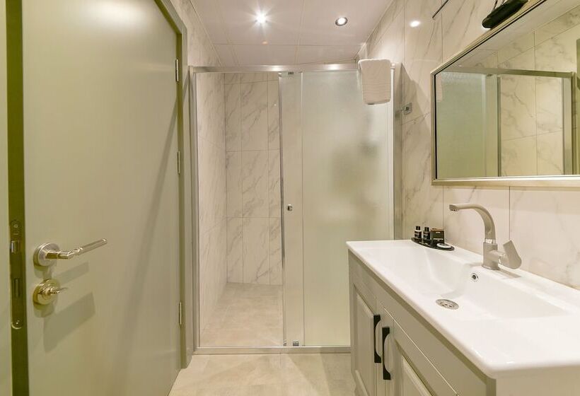 חדר דלוקס, Rise Inn