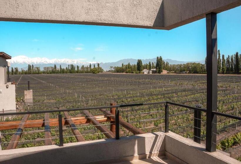 חדר סטנדרט, Agrelo Vines Lodge