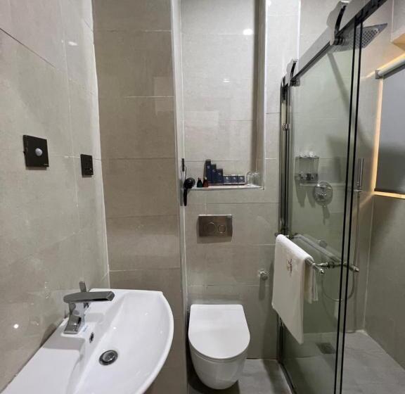 اتاق استاندارد یک نفره, Grandswiss