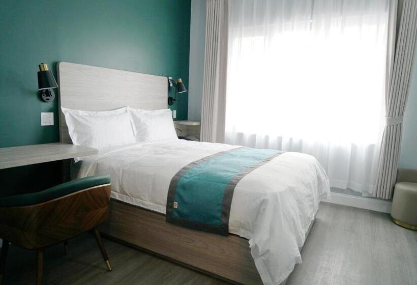 标准间, Starlight