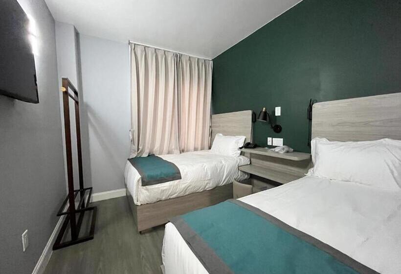 标准间, Starlight