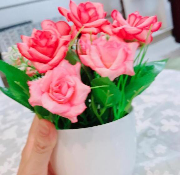 اتاق لوکس با بالکن, Lucky Home