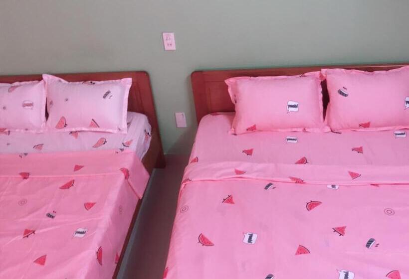 اتاق سوپریور چهار تخته, Lucky Home