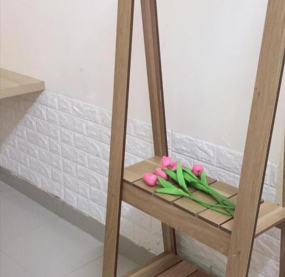 اتاق سوپریور, Lucky Home
