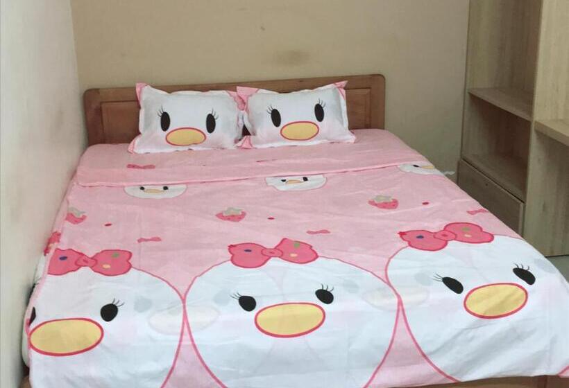 اتاق سوپریور, Lucky Home