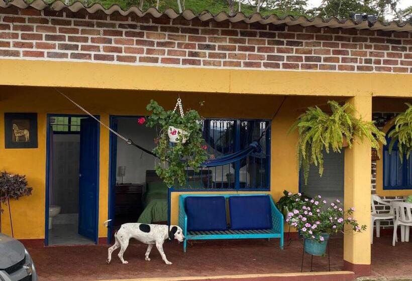 اتاق استاندارد, Dinoagro Potrero Grande