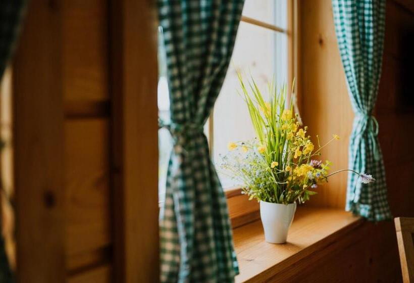 اتاق لوکس, Apartmány Velké Karlovice