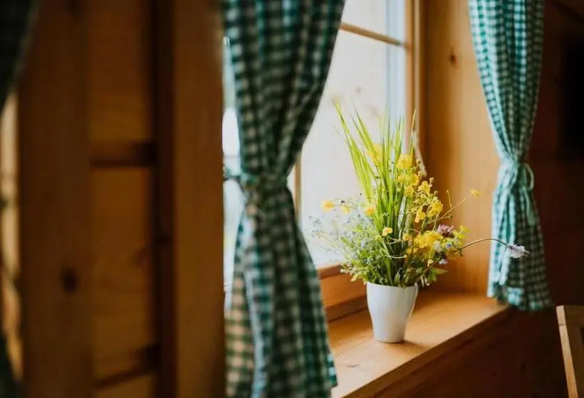 デラックスルーム, Apartmány Velké Karlovice