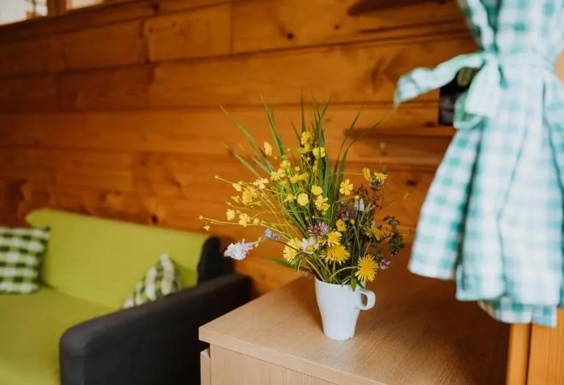 デラックスルーム, Apartmány Velké Karlovice