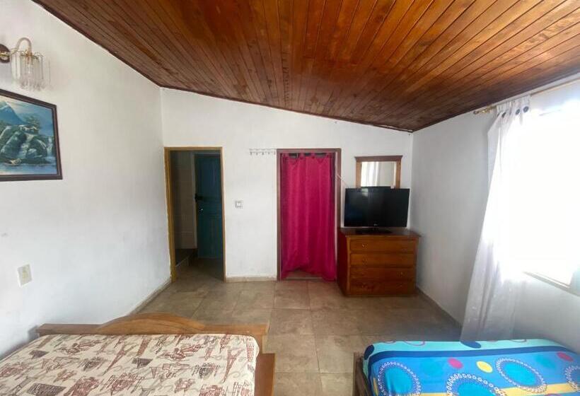 اتاق استاندارد, Tahamies Hostal   Artesanos Y Turistas