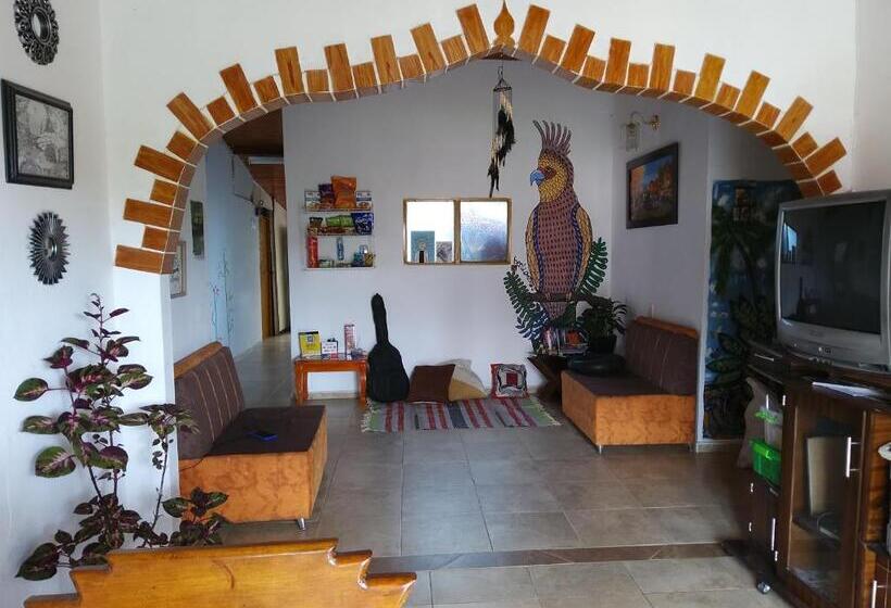 اتاق استاندارد چهارنفره با سرویس بهداشتی مشترک, Tahamies Hostal   Artesanos Y Turistas