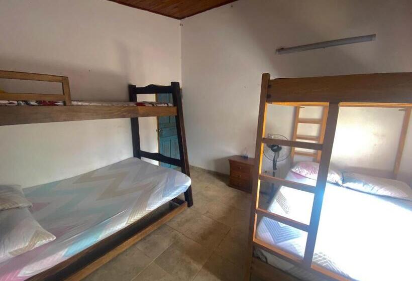 اتاق استاندارد چهارنفره با سرویس بهداشتی مشترک, Tahamies Hostal   Artesanos Y Turistas