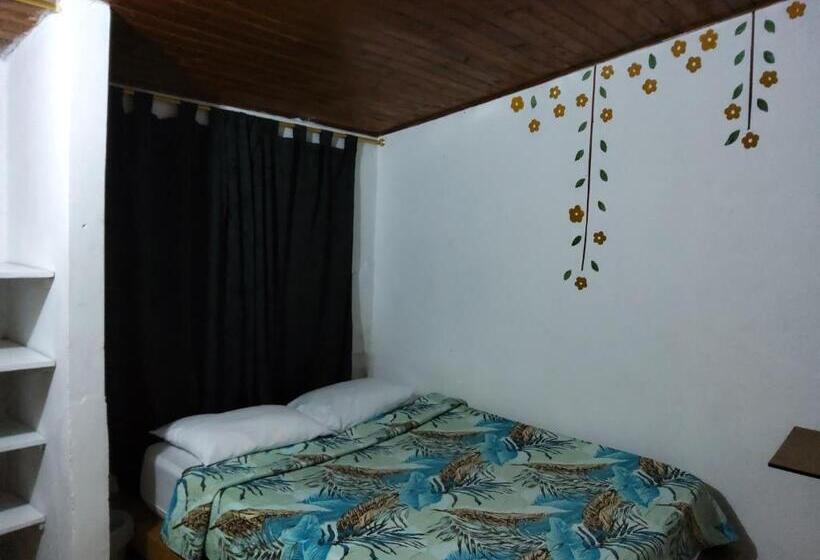 اتاق استاندارد با سرویس بهداشتی مشترک, Tahamies Hostal   Artesanos Y Turistas