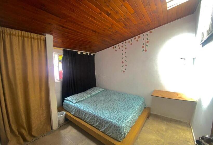 اتاق استاندارد با سرویس بهداشتی مشترک, Tahamies Hostal   Artesanos Y Turistas