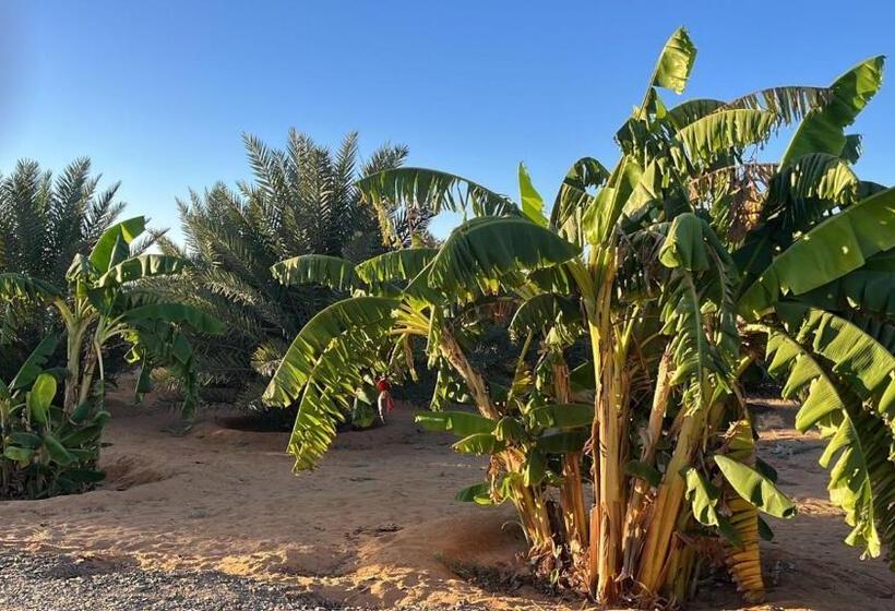 غرفة ديلوكس, استكنان