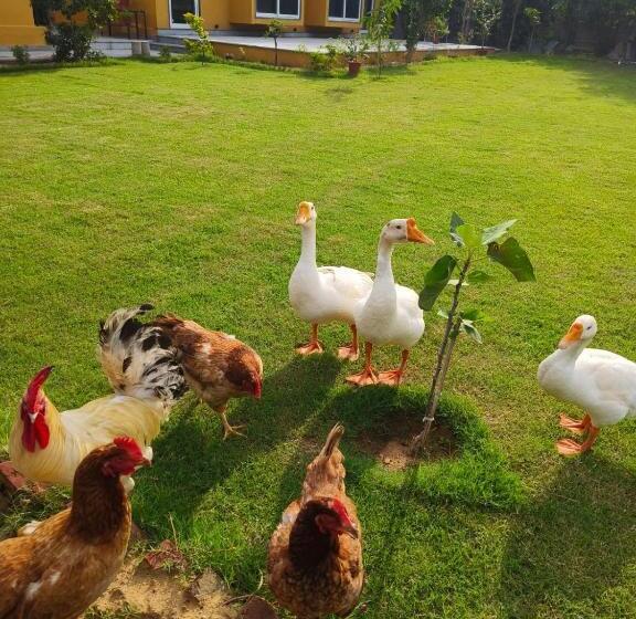 Pokój Rodzinny Widok Ogród, Girisadan Organic Farm Retreat & Botanical Forest