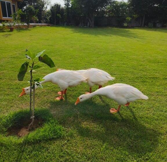 家庭房带园景, Girisadan Organic Farm Retreat & Botanical Forest