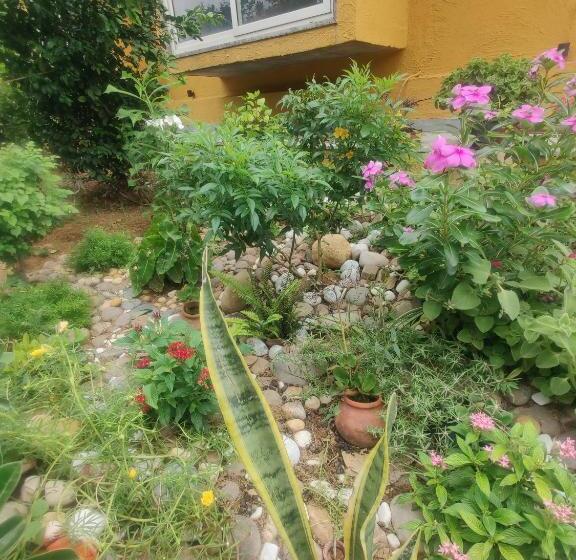 Pokój Rodzinny Widok Ogród, Girisadan Organic Farm Retreat & Botanical Forest