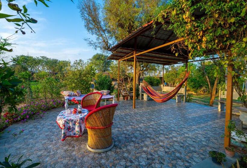 Pokój Rodzinny Widok Ogród, Girisadan Organic Farm Retreat & Botanical Forest