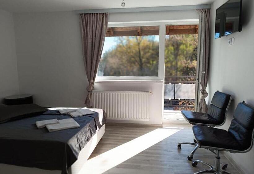 스탠다드 룸, Viv Rosetti