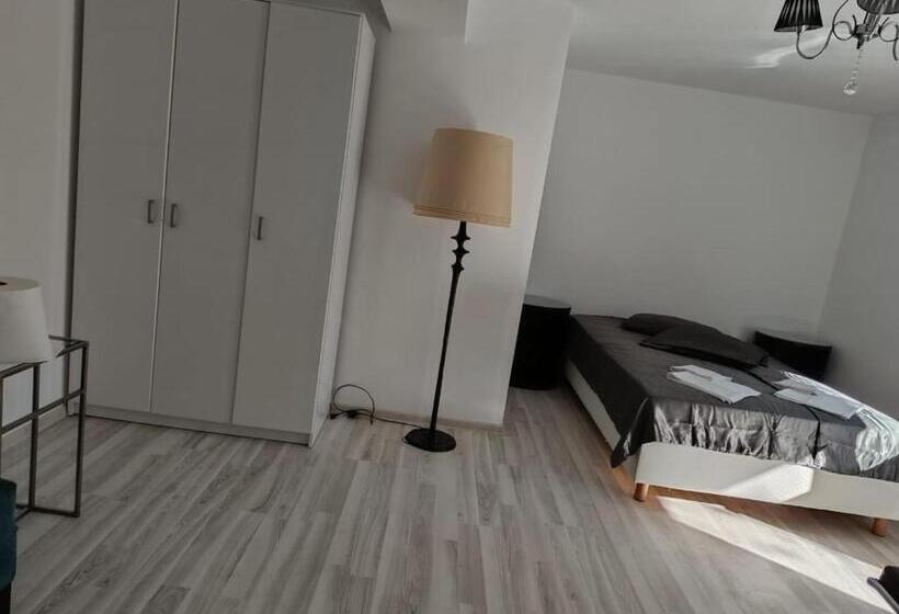 스탠다드 룸, Viv Rosetti