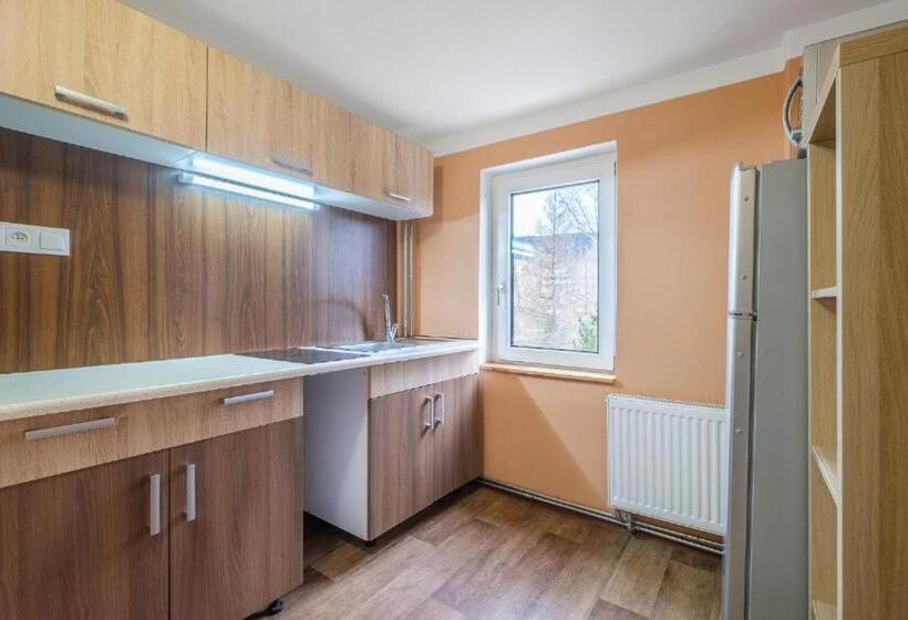 آپارتمان 2 خوابه, Apartmány Klínovec   Penzion Jonas
