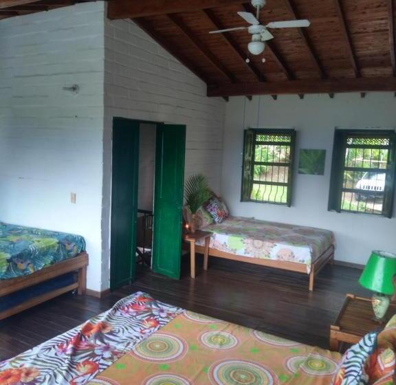 マウンテンビューファミリールーム, Casa Vitall