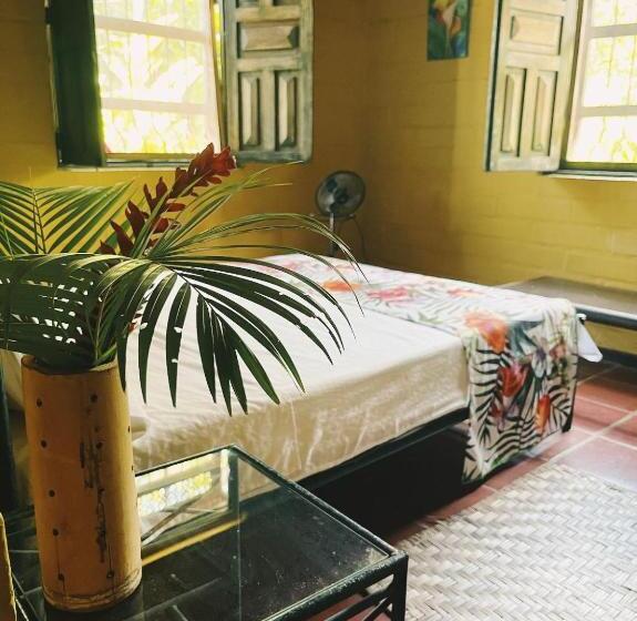 スタンダードルーム, Casa Vitall