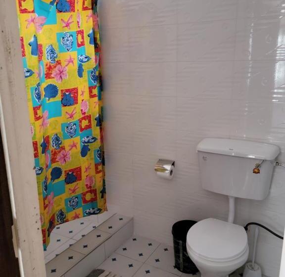 חדר סטנדרט יחיד, Loreto Palm Villa