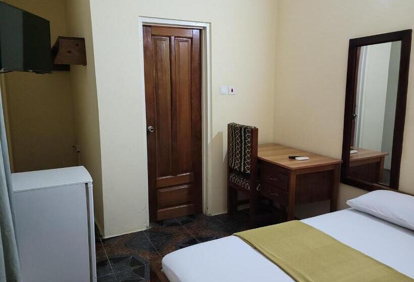 标准单人间, Loreto Palm Villa