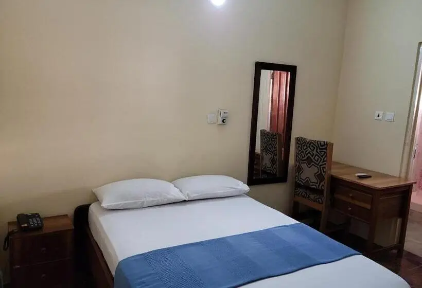 Chambre Standard Individuelle, Loreto Palm Villa