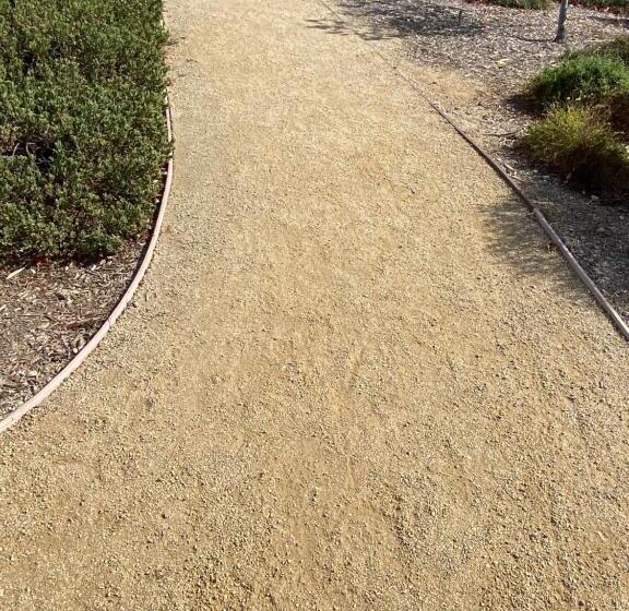 סוויטת ג'וניור, Olive Glen