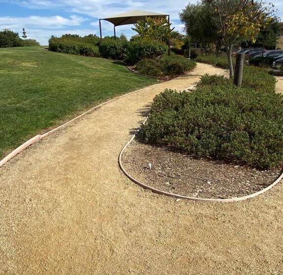 סוויטת ג'וניור, Olive Glen