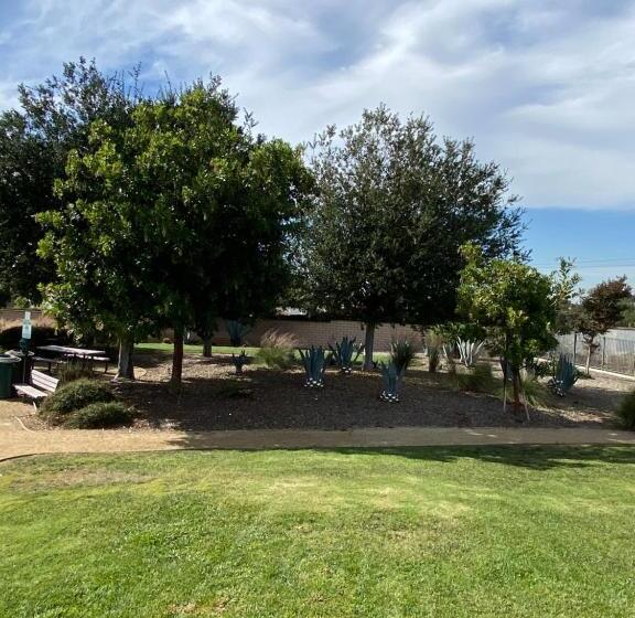 סוויטת ג'וניור, Olive Glen