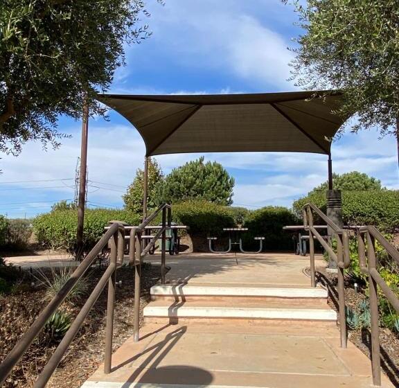 סוויטת ג'וניור, Olive Glen