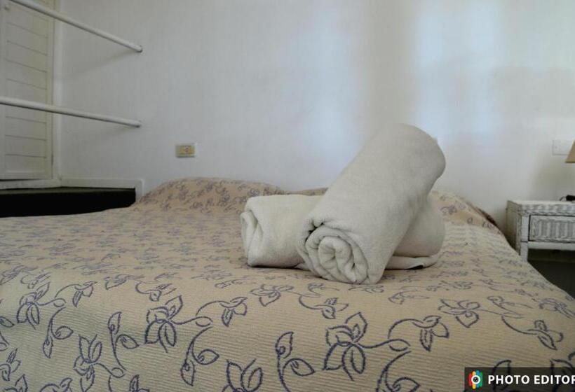 标准间, Espacio Arena