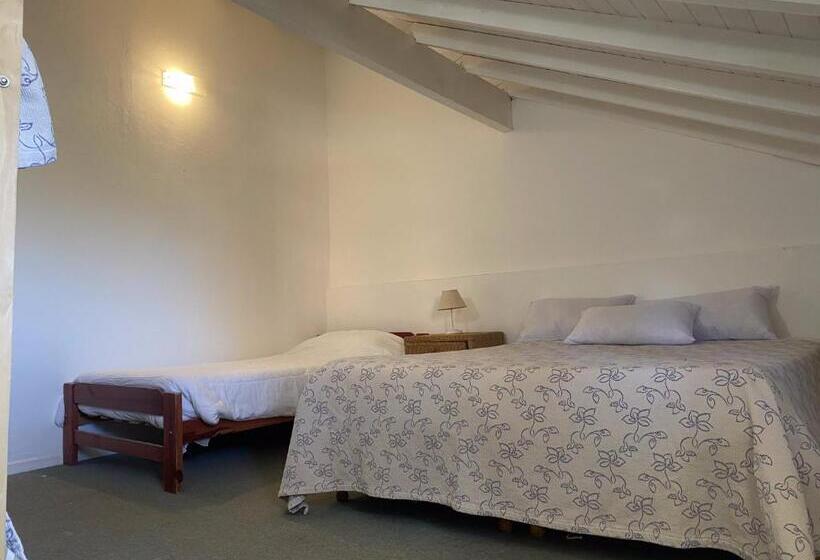 家庭间, Espacio Arena