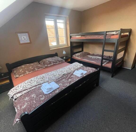 חדר סטנדרטי לארבעה עם חדר אמבטיה משותף, Penzion A Restaurace U Nováků