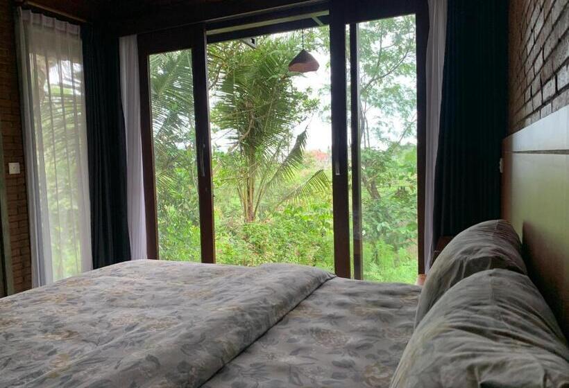 标准间, Anandinii River Lodge