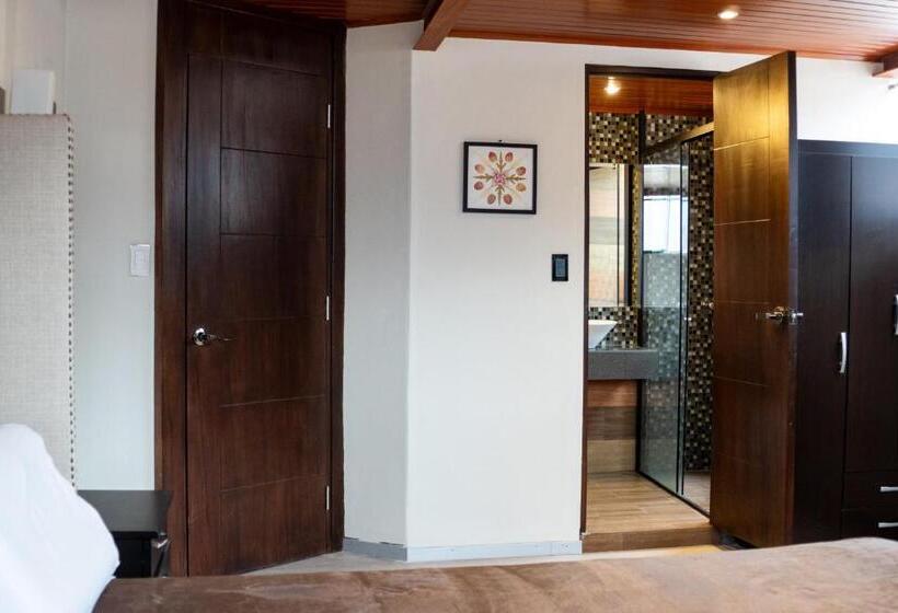 غرفة قياسية, California Urubamba